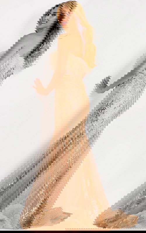 Feather detail gown 48465