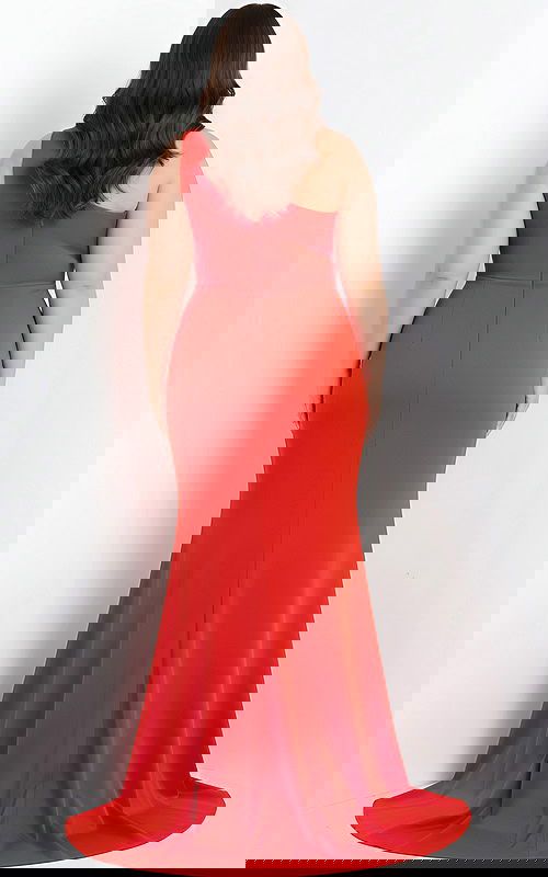 back of red plus size dress 04222