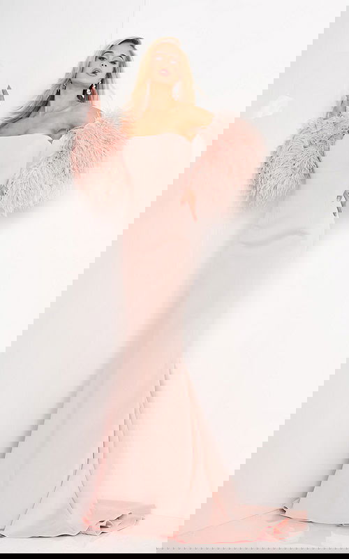 Jovani 1226 blush dress with detailed feathered sleeves.