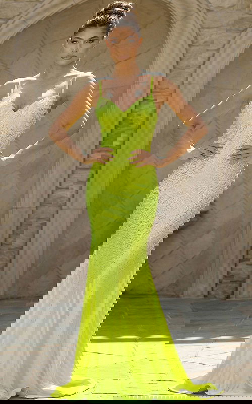 Lime v neckline mermaid dress 23010