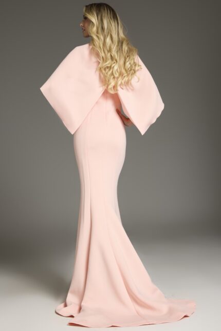 Back view of Jovani 38822 blush dress showing cape detail and mermaid silhouette.