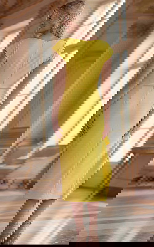 Back View Cap Sleeve Midi Dress With Tailored Seam Finish