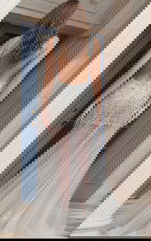 Back view of Jovani 39502 silver crystal embellished pageant gown featuring an open back, dense rhinestone beading on the bodice, and sheer tulle skirt with scattered crystal accents.