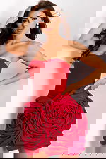 Red short dress featuring sculpted bodice and floral appliqués