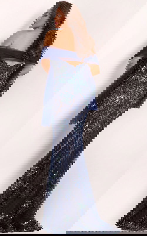 Back view of navy lace gown with sheer embroidered details