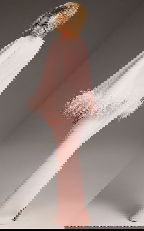 Back view of Jovani 41077 blush gown highlighting the sleek silhouette and feathered sleeves.