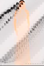 Elegant sleeveless mesh gown with silver embroidery and shimmer