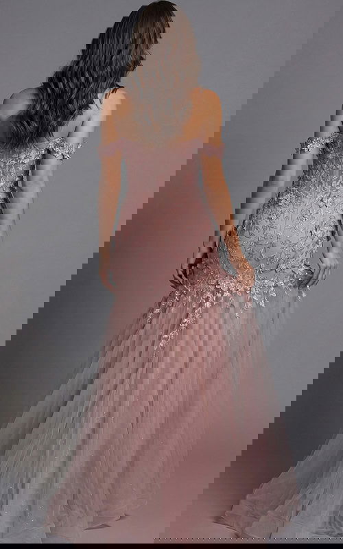 Blush floral appliqué fitted tulle dress front view