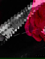 black and fuchsia fabric 43886