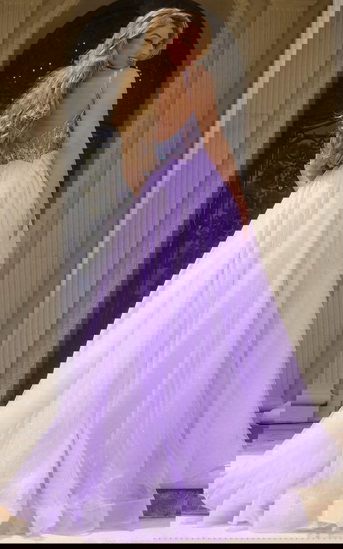 Back view of Jovani 44511 lilac gown showing low back detail.