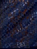 navy lace and nude underlay fabric for style 44862