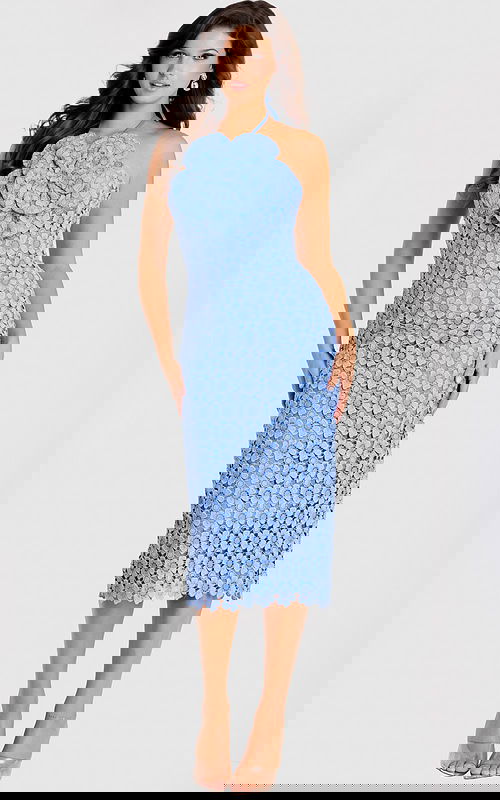 Sophisticated floral lace dress with body-hugging silhouette and sheer texture