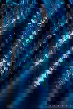 print fabric for style 45614