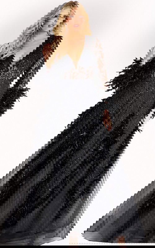 Long black gown with sheer beaded lace bodice, feather-trimmed sleeves, and flowing tulle skirt.