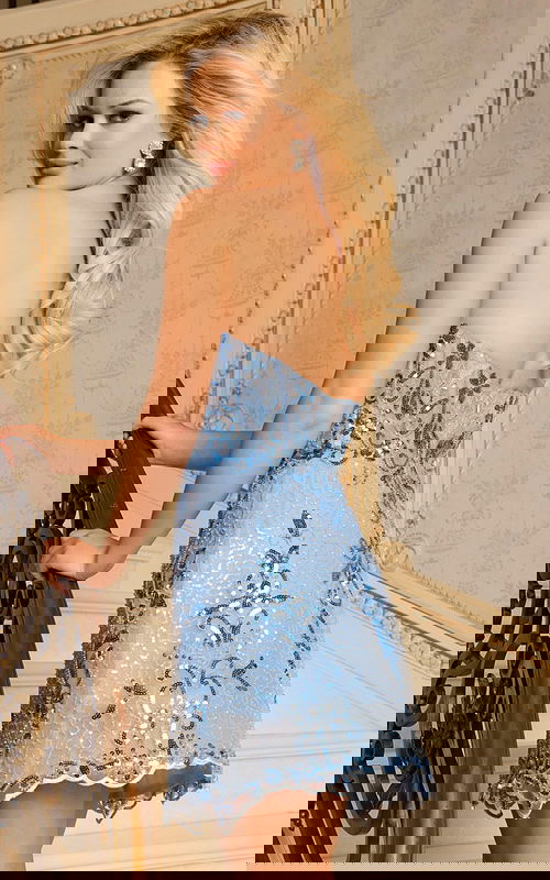 Back view of scalloped hem dress with shimmering embroidered mesh