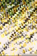 print ball gown 46723