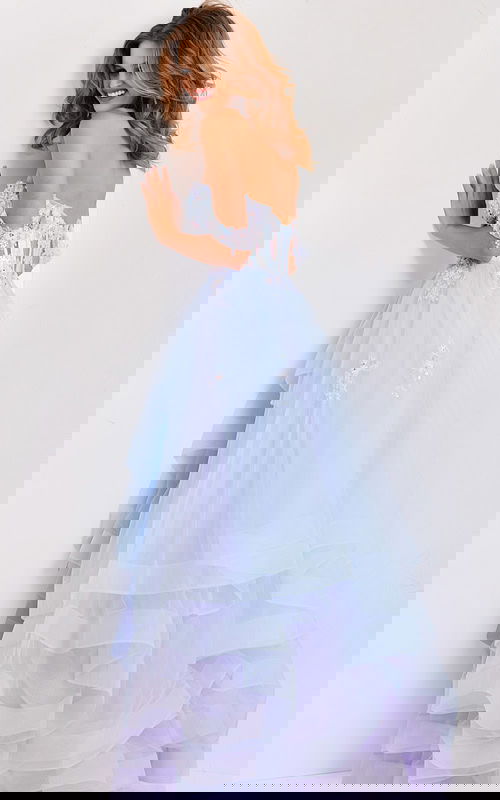 back of sheer puffy dress 47427