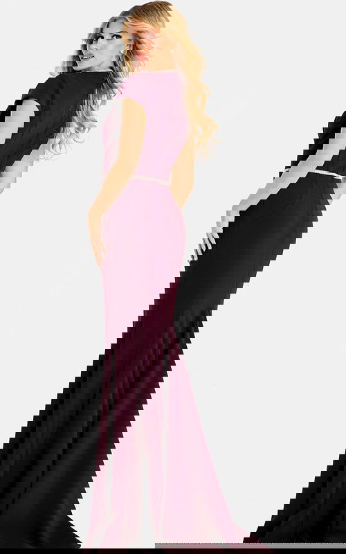 Fitted plum gown with short sleeves, jeweled neckline, and waist detailing, featuring a flared hemline for a classic elegant finish.