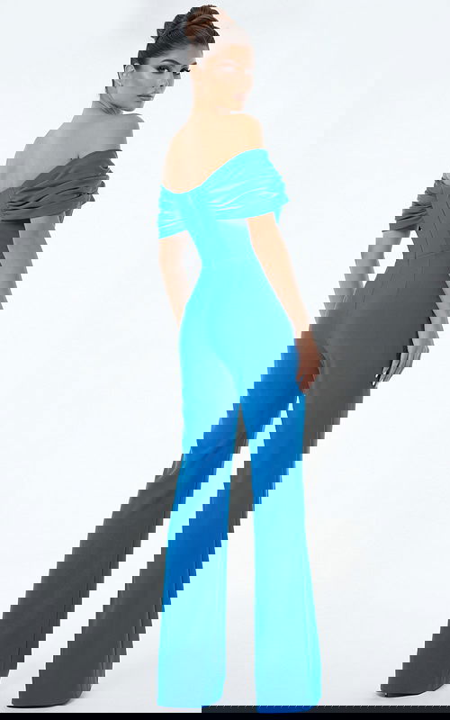 Back view of off shoulder wide leg jumpsuit with draped neckline and fitted waist