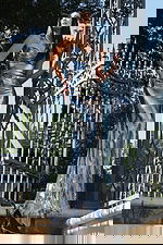 Shiny silver evening dress featuring spaghetti straps and ruched waist