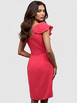 Fitted Ruffle Detail Dress Back View