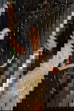 Elegant gold beaded dress with shimmering fringe and body-hugging fit