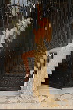 Shimmering gold halter gown with fringe layers and open back