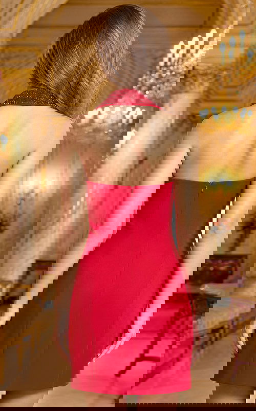 Back view of halter mini dress with clean lines and fitted silhouette