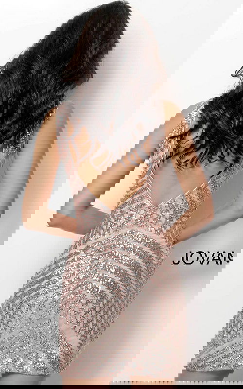 Back view of Jovani 63899 blush dress showcasing V-cut design and sequin detail.