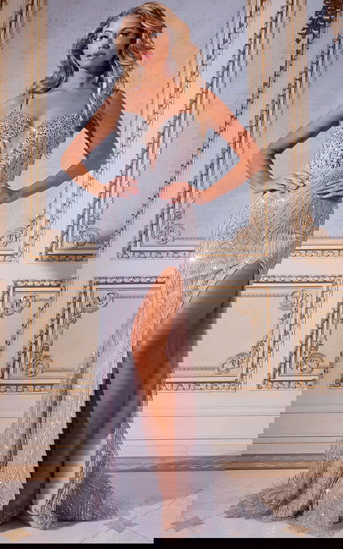 Model wearing D5042 silver gown with sweetheart neckline and high slit front view