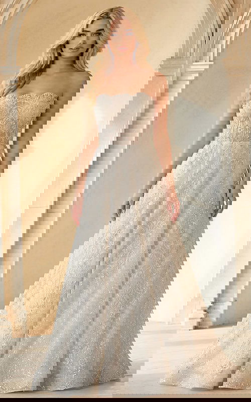 Lace embroidered strapless wedding dress with long train back view