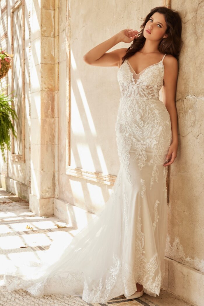 Model wearing Jovani JB37532 ivory gown, showcasing lace details and V-neckline from the front.