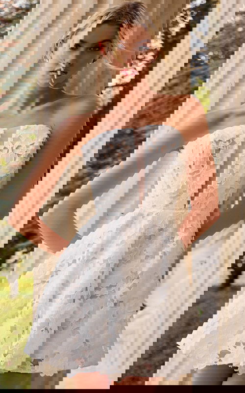 lace strapless fit and flare short dress JB45914