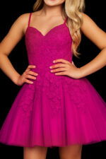 fit and flare embroideried short dress K1830