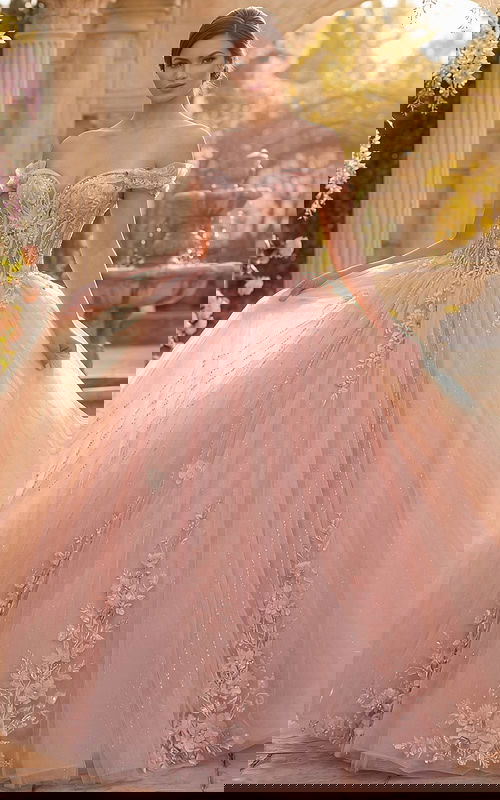 Glitter tulle pink ball gown