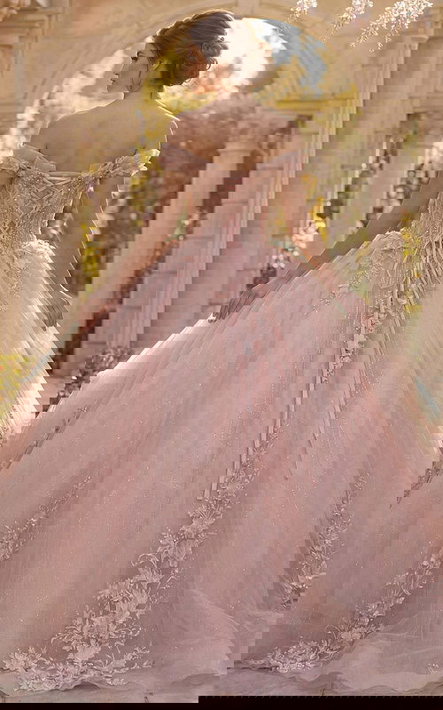 Blush lace appliqué ball gown