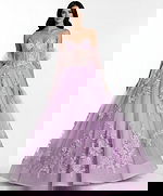 Lavender ball gown with floral lace embroidery and tiara