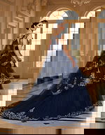 navy and silver embellished dress Q48438